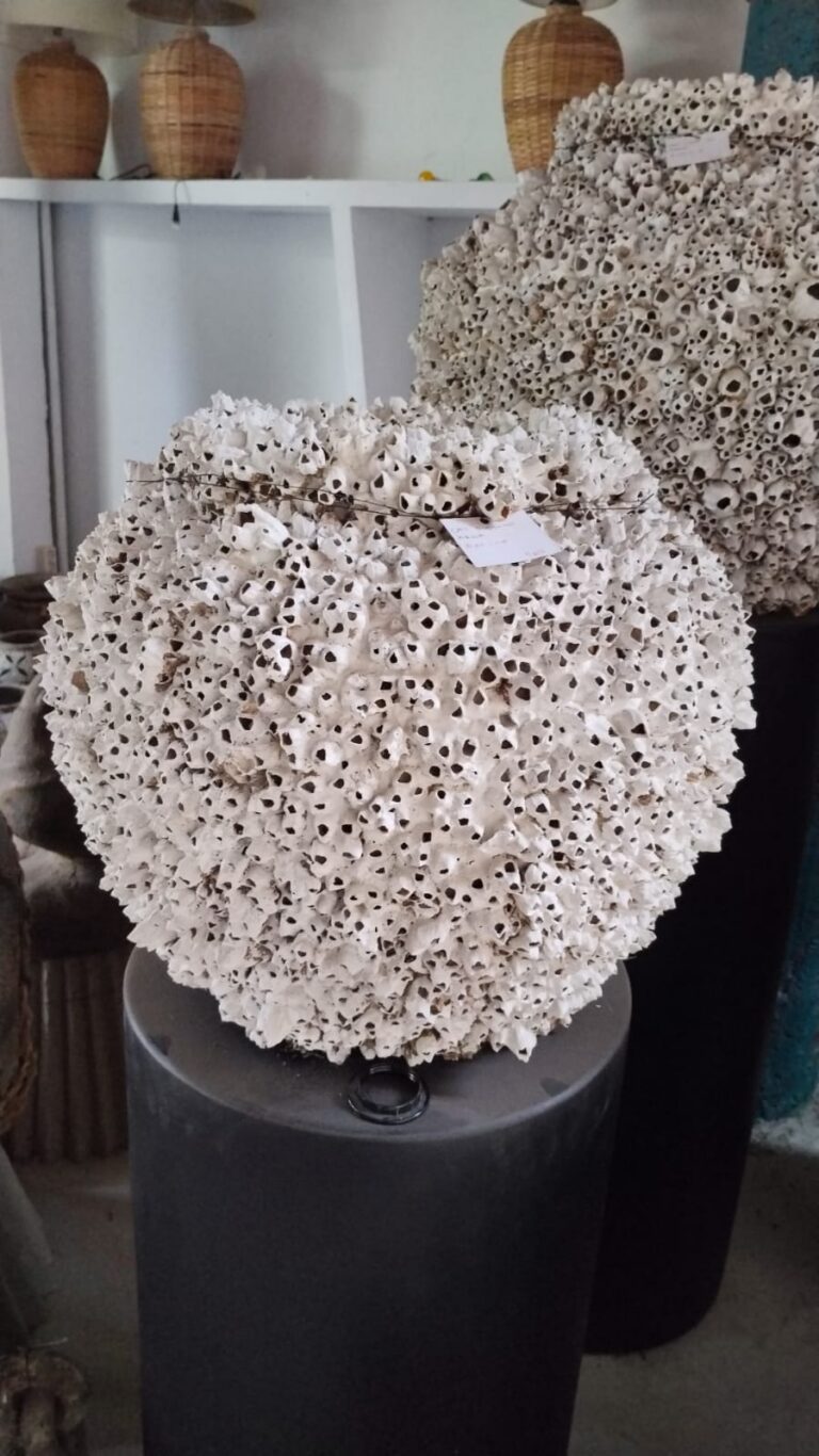 Vaso Terracota Karang 1 com cracas